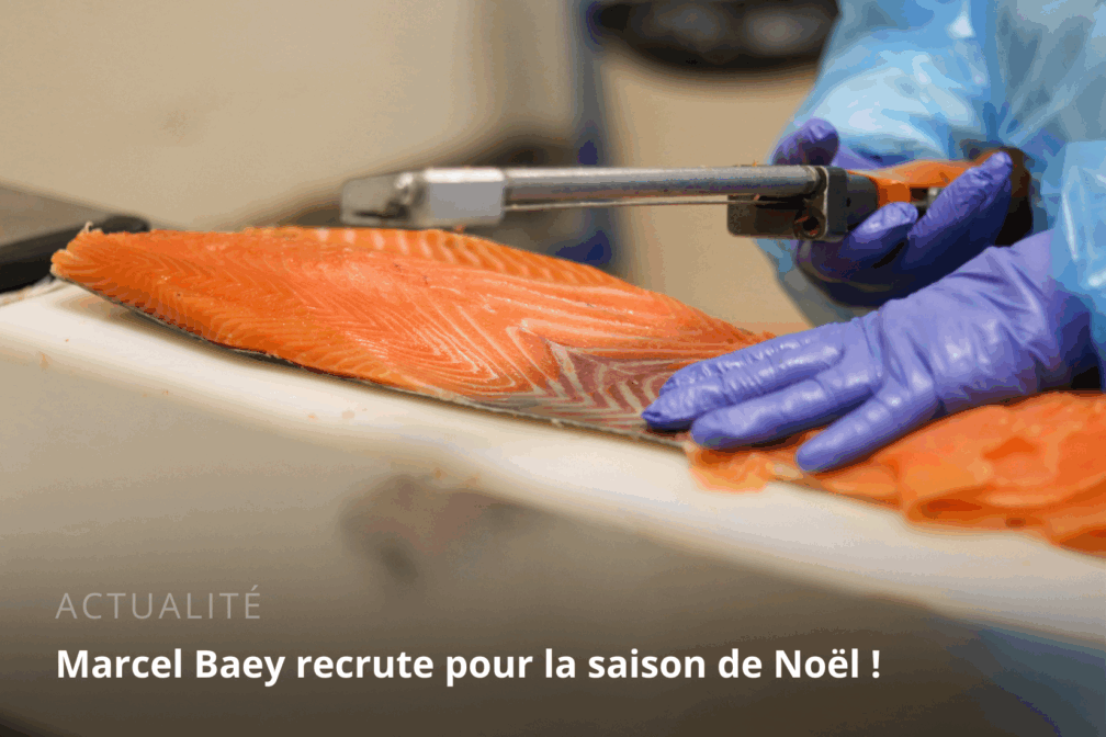 Marcel Baey recrute pour la saison de Noël !